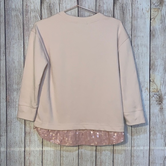 JCrew Sweatshirt - Picture 4 of 7